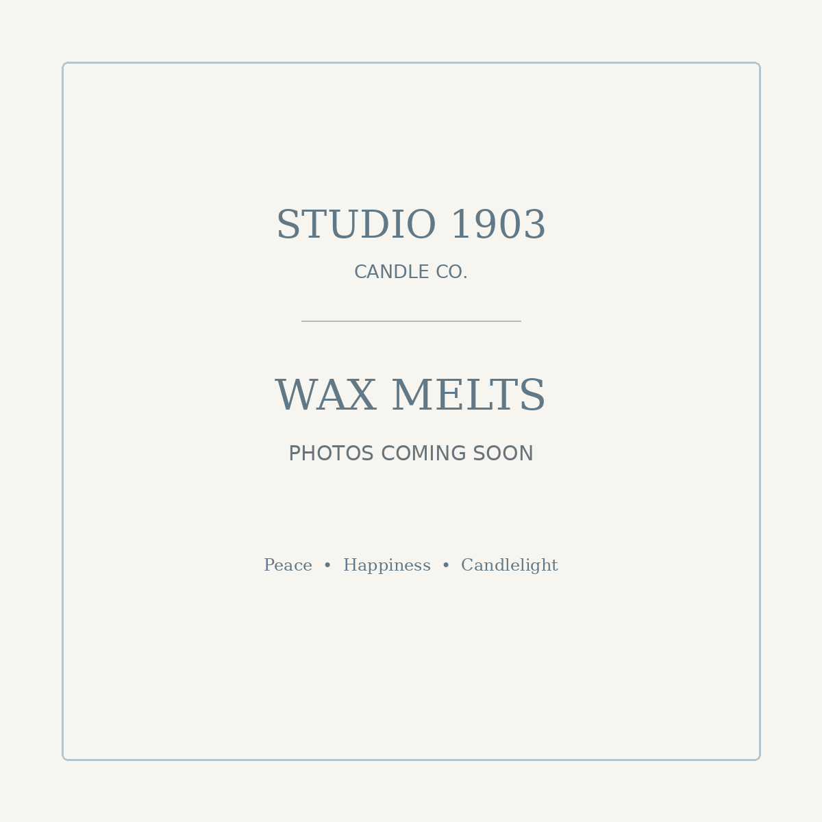 Studio 1903 wax melts photos coming soon